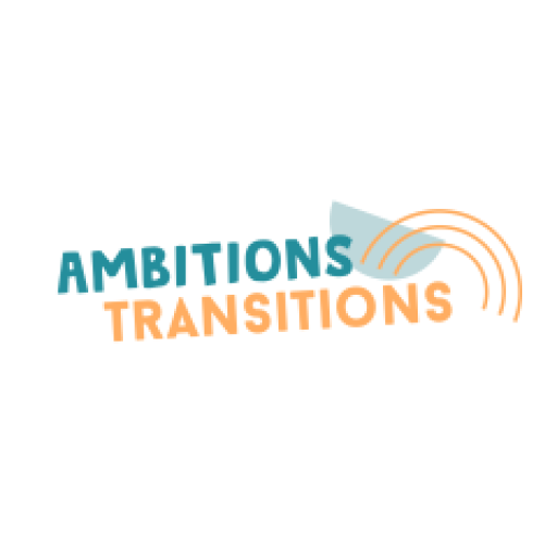 Ambitions Transitions
